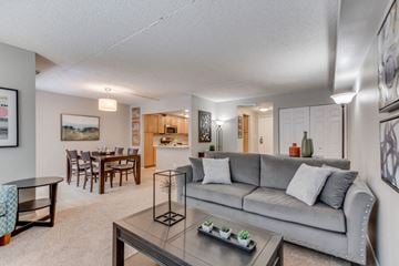 Edina apartment for rent - a living room with a couch and a table