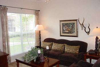 Mini and vertical blinds