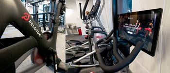 Peloton bikes
