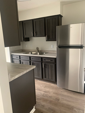 Shakopee apartment for rent - kitchen