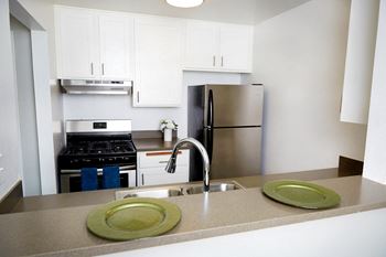 Newly renovated apartments