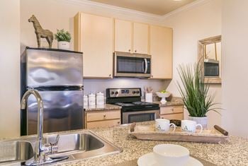 Double stainless steel sink