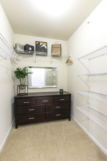 Expansive closet