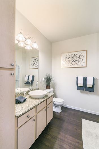 Raised bowl sinks in bathrooms