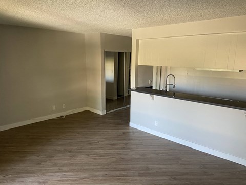 Floor plan for studio, 1 bath, 550 sqft