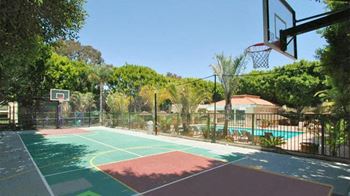 Multi-purpose sport court