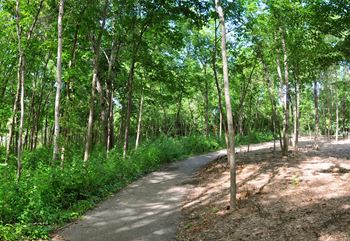 Walking/biking trail access