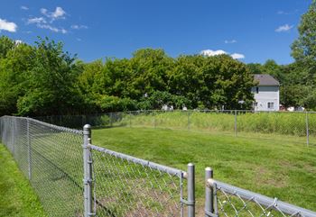 Fenced pet park
