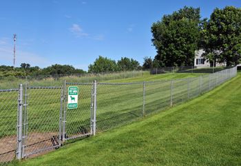 Fenced dog run
