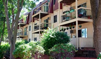 Wooded setting