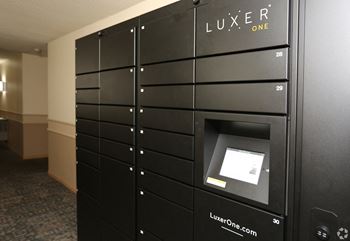 Luxer one package system