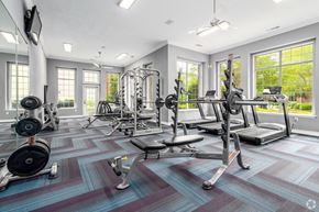 Charlotte apartment for rent - the gym at the estates at spring ridge apartments