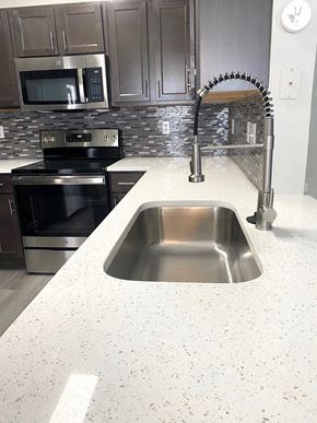 Charlotte apartment for rent - a kitchen with stainless steel appliances and a sink
