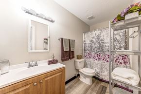 Ofallon apartment for rent - a bathroom with a shower toilet and a sink