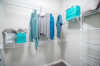 Built-in shelving in closet