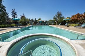 Farmington Hills apartment for rent - a swimming pool with a hot tub and trees in the background