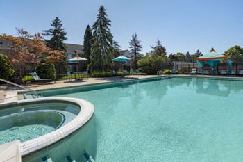 Outdoor swimming pool and jacuzzi