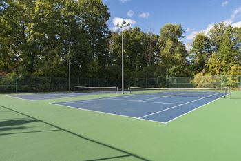 Tennis court