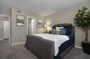 Ypsilanti apartment for rent - a bedroom with a bed and a plant