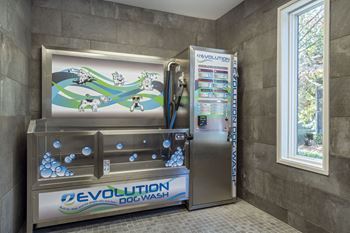 Pet wash station