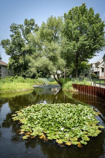 Pond views available