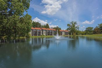 Lake views