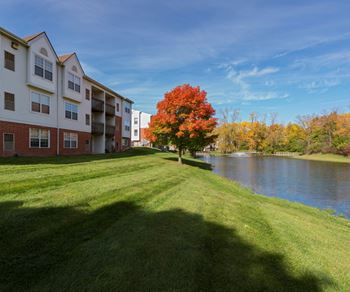 Beautiful pond or wood views