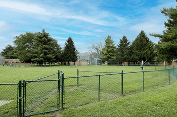 Dog park