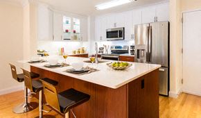 Brookline apartment for rent - Newly renovated transitional style kitchen