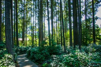 Mariner's glen apartments trails and forests
