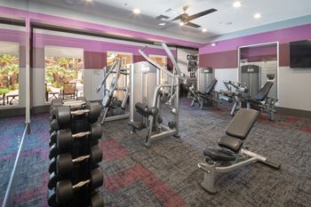 Sage stone apartments free weights and fully equipped gym
