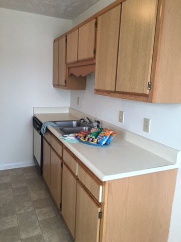 Fayetteville triplex for rent - a kitchen with wooden cabinets and a sink