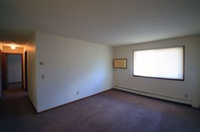 Buffalo apartment for rent - an empty living room with a large window and carpet
