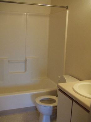 St. Louis Park townhouse for rent - a bathroom with a toilet and a sink and a bath tub