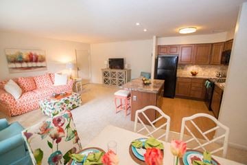 Cockeysville apartment for rent - A kitchen with a black refrigerator and wooden cabinets.