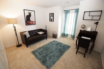 Glen Burnie apartment for rent - A living room with a black couch and a blue rug.