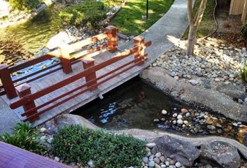 Backyard garden bridge