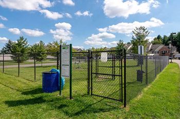 Dog park