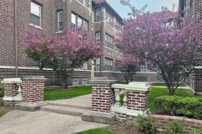 Oak Park apartment for rent - A brick building with a tree with pink flowers in front.