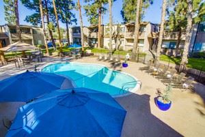 Resort style pool & spa