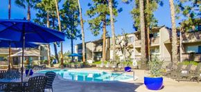 La Mesa apartment for rent - Shasta Lane Apartments Lifestyle - Pool Deck & Pool
