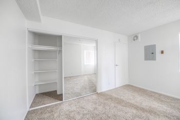 Mirrored closet