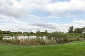 Hudsonville apartment for rent - A grassy field with a body of water and trees in the distance.