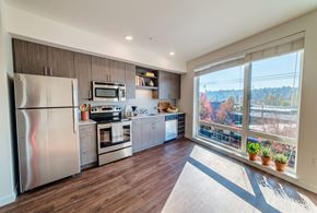 Seattle apartment for rent - Modern kitchen with stainless steel appliances, grey wood cabinetry, and large bright window.