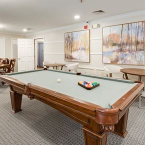 Waldorf apartment for rent - Pool table