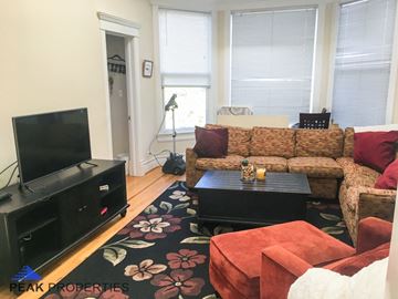 Chicago apartment for rent - a living room with a couch and a tv