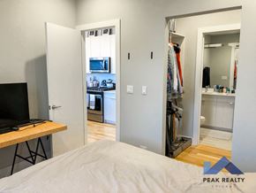 Chicago apartment for rent - a bedroom with a bed and a closet and a kitchen