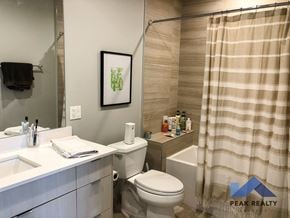 Chicago apartment for rent - a bathroom with a toilet and a shower and a sink