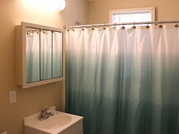 Brand new bathroom