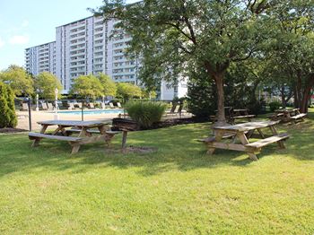 Green picnic area